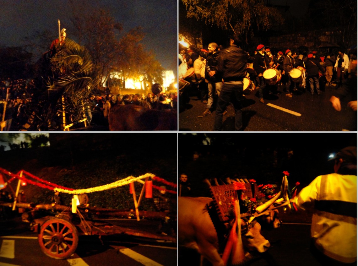 Glimpses of the procession